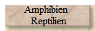 Amphibien  
  Reptilien