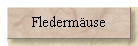 Fledermuse