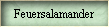 Feuersalamander