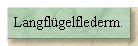 Langflgelflederm.