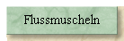 Flussmuscheln