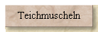 Teichmuscheln