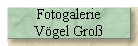 Fotogalerie 
 Vgel Gro