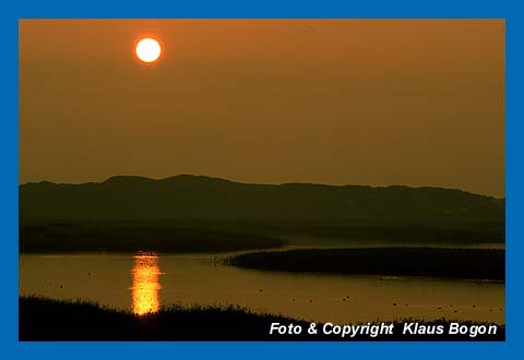 Abendstimmung am Ringkobing Fjord, Dnemark