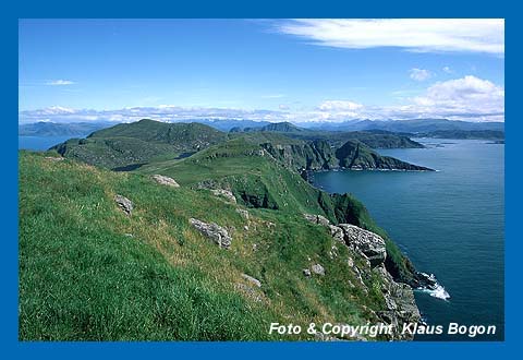 Vogelinsel Runde, Norwegen