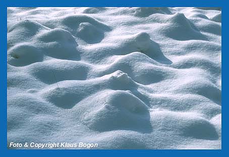 Unzhlige Schneekristalle verwandeln in kurzer Zeit die Landschaft