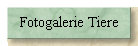 Fotogalerie Tiere