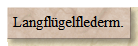 Langflgelflederm.