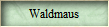 Waldmaus