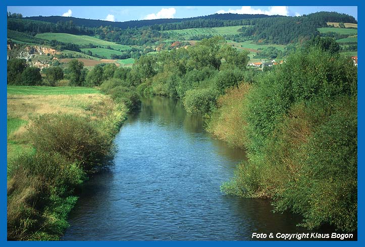 In Flüssen wie der Fulda, konnten sich in den letzten Jahren Flußmuscheln wieder ausbreiten.