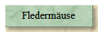 Fledermuse