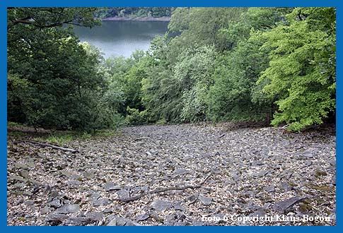 Der Weg durchschneidet eine groe offene Grauwacken-Blockhalde und gibt den Blick auf den Edersee frei.