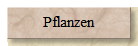 Pflanzen