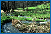 Natrlicher Mittelgebirgsbach in Nordhessen