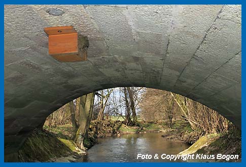 Knstliche Wasseramselnistksten bieten einen gern angenommenen Ersatzbrutraum.