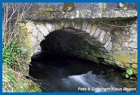 Nischenreiche alte Steinbrcke, Brutplatz der Wasseramsel.