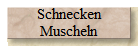 Schnecken 
 Muscheln