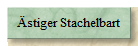 stiger Stachelbart