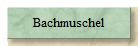 Bachmuschel