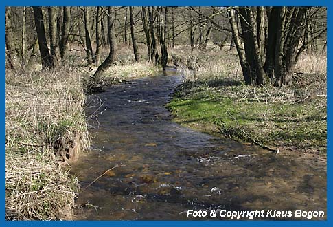 Mittelgebirgsbach mit steiniger Bachsohle, typischer Lebensraum der Groppe (Koppe).