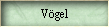 Vgel